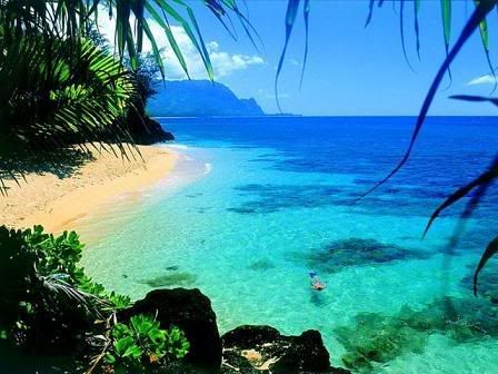 HAWAI Pictures, Images and Photos