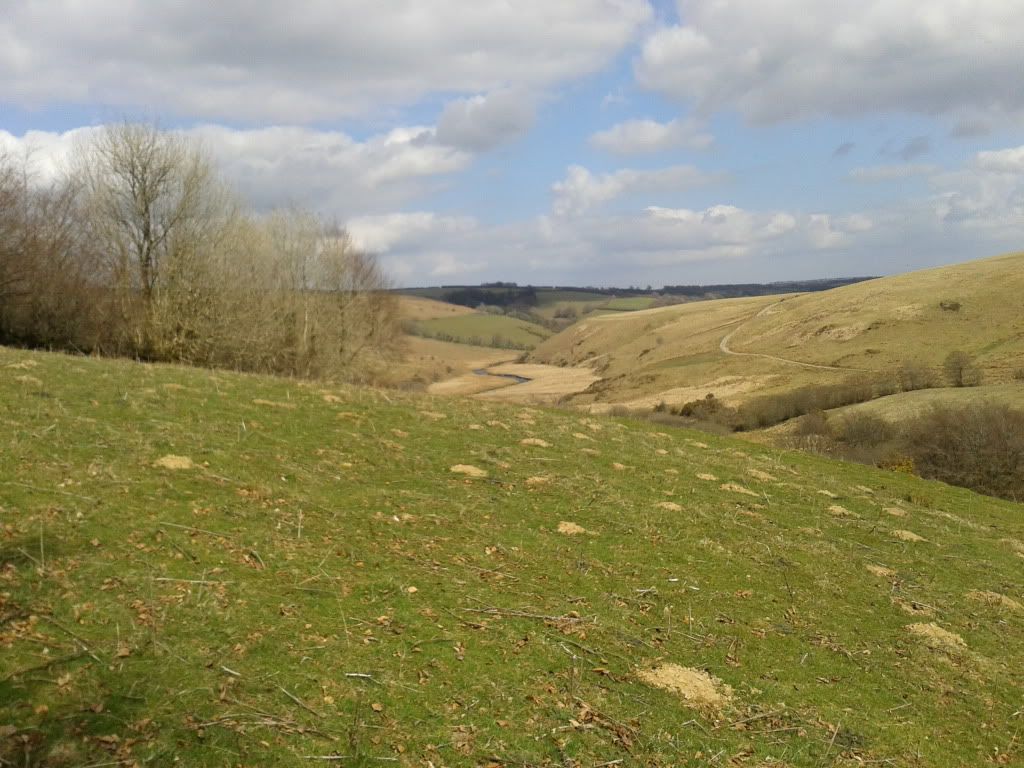 2013-04-20152752_zps533aae2f.jpg