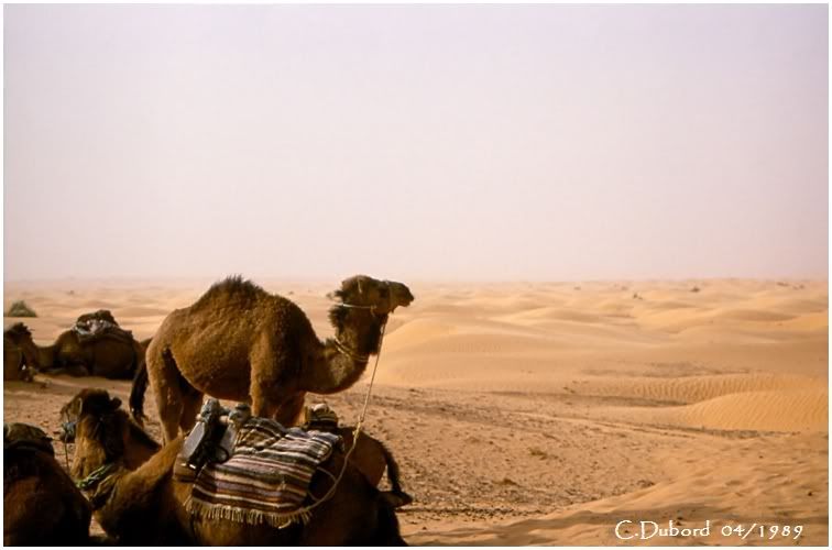 http://i256.photobucket.com/albums/hh165/col-du/Voyage/Numriser0001.jpg