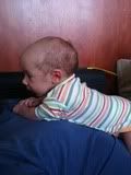 http://i256.photobucket.com/albums/hh165/ladybug010101/Adamek_000981.jpg