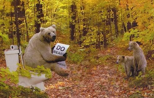 Bear shits in woods Pictures, Images and Photos