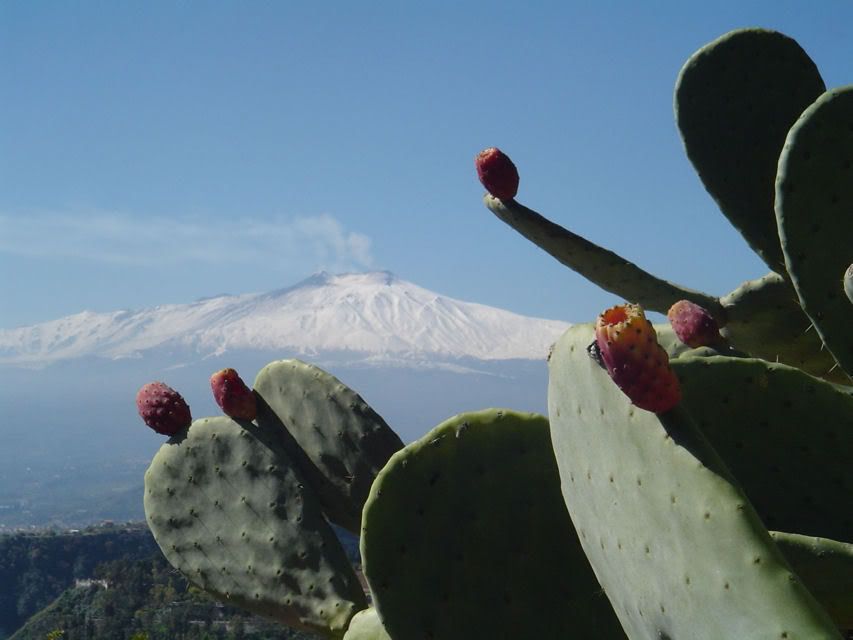 crociera-etna.jpg