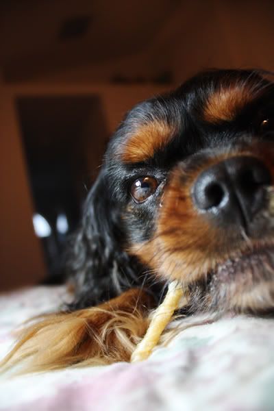 IMAGE: http://i256.photobucket.com/albums/hh170/Zwarf/eae37f70.jpg