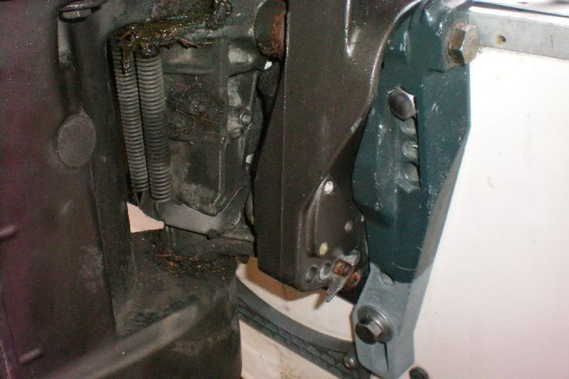 03-09-2011sm020.jpg