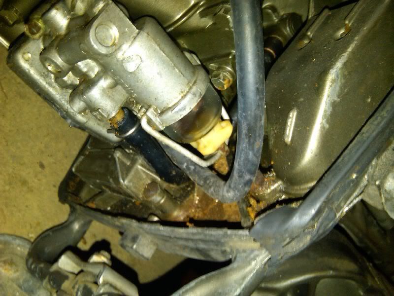 03-20-2011sm001.jpg