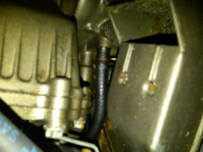 03-20-2011sm003.jpg