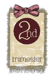 2nd trimester Pictures, Images and Photos
