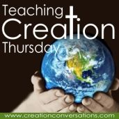 Teaching Creation Thursday ~ Made in Heaven {The Spider and Bullet Proof Vests} and giveaway!!