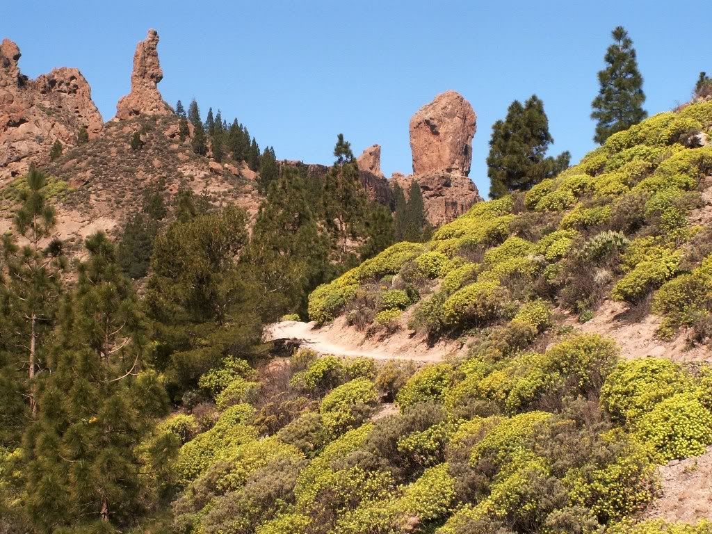 GRANCANARIA1.jpg