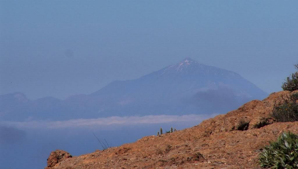 GRANCANARIA2.jpg