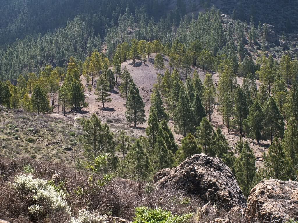 GRANCANARIA4.jpg