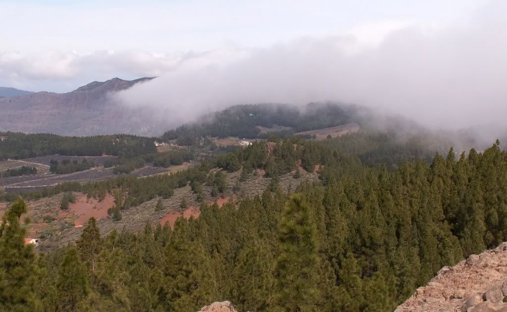 GRANCANARIA7.jpg