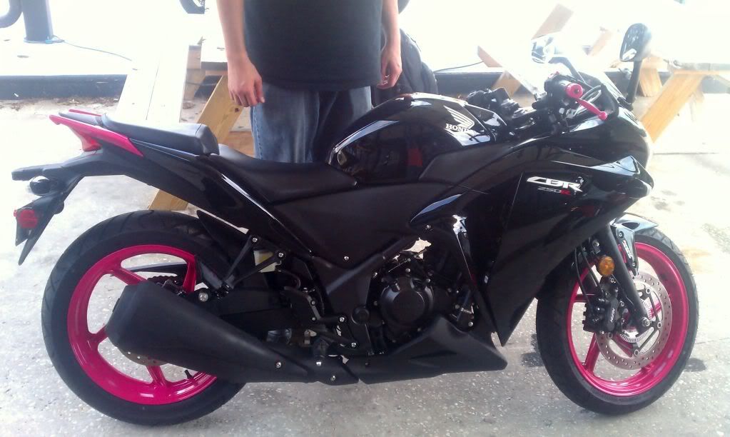 LOWEREDPINKCBR250.jpg