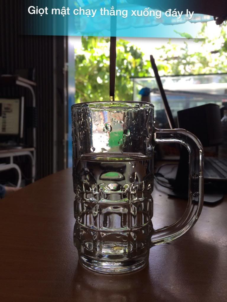 mật ong nuôi nguyên chất 100% - 2