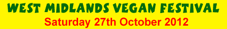 festival banner 4