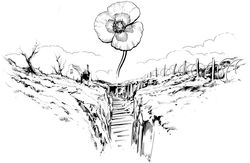 illustration,Graeme Neil Reid,poppy