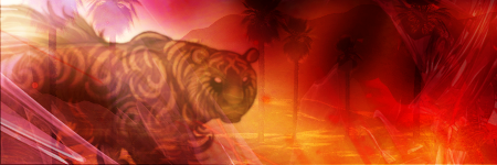 Tiger.png