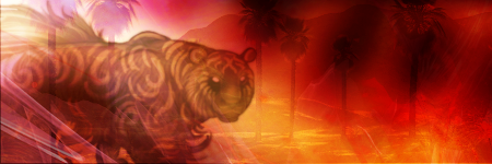 Tiger2.png