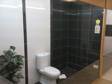 Toilet2ndChoice2.jpg