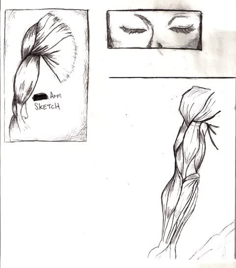 My Sketchbook My Sketchbook