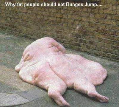 Overweight People on Fat 1 Jpg Fat People Please Dont Bunggee Jump