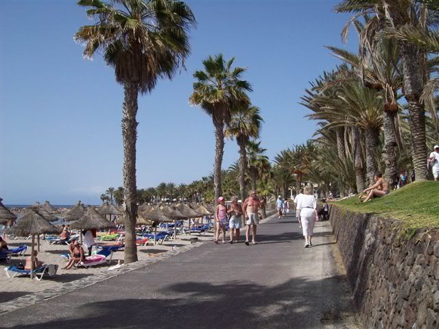 100_1257Tenerifesud.jpg