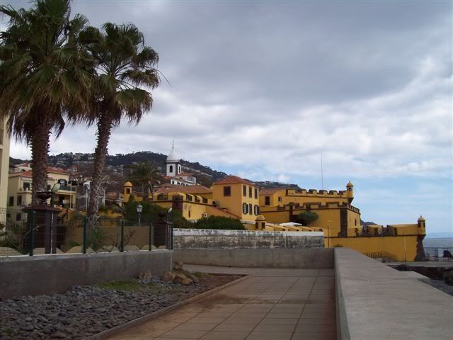 100_1378Funchal.jpg