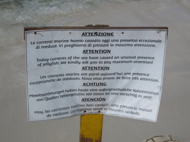 IMG_0114.jpg