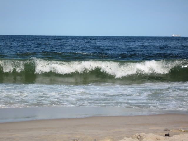 IMG_1976.jpg