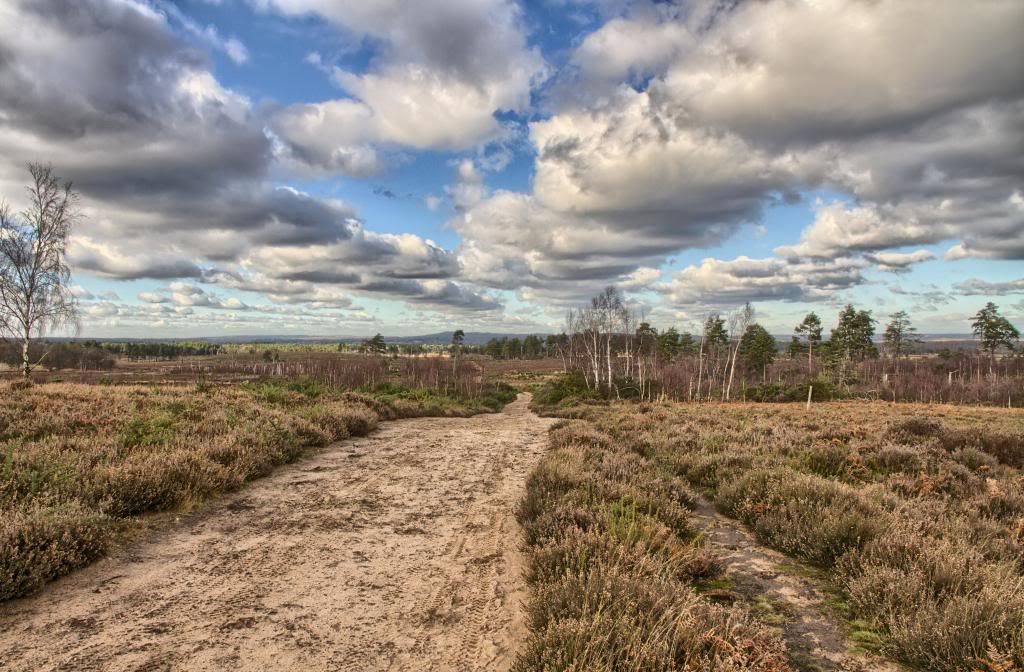 IMAGE: http://i256.photobucket.com/albums/hh181/1pinto/IMG_3724-HDR3_zps83621ecd.jpg