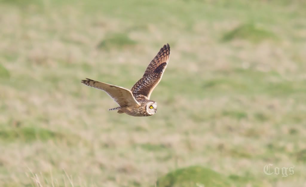 IMAGE: http://i256.photobucket.com/albums/hh181/1pinto/IMG_7144.jpg