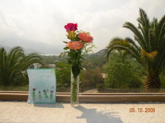 DSCN4587.jpg