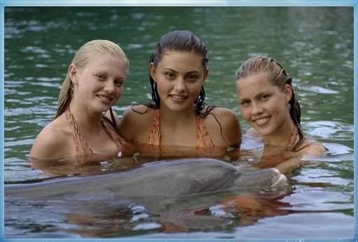 at sea world at sea world