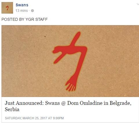 swansi.jpg