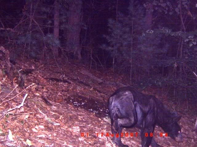 Picture019.jpg