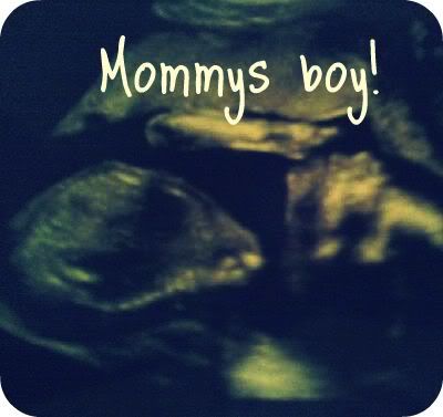 mybabyboy20wks_0002.jpg?t=1226869207
