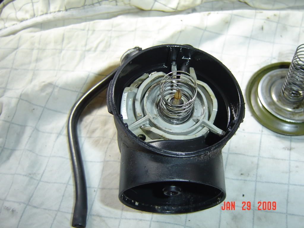 [Linked Image from i256.photobucket.com]