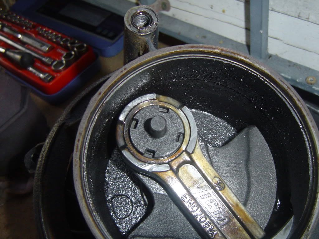 [Linked Image from i256.photobucket.com]