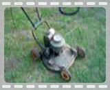 [Linked Image from i256.photobucket.com]
