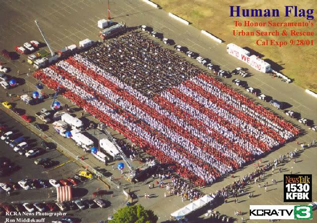 human-flag-w-graphics.jpg
