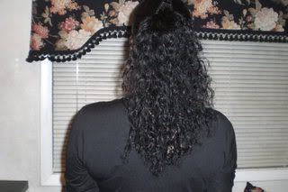 CurlyPonytail2-18-08NTM-1.jpg