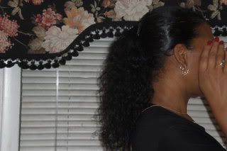 CurlyPonytail2-18-08NTM1.jpg