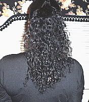 CurlyPonytail2-18-08NTM2.jpg