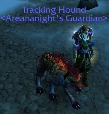 Tracking Hound