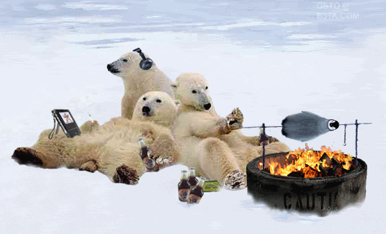 funny polar bears photo: global warming globalwarminglol.gif