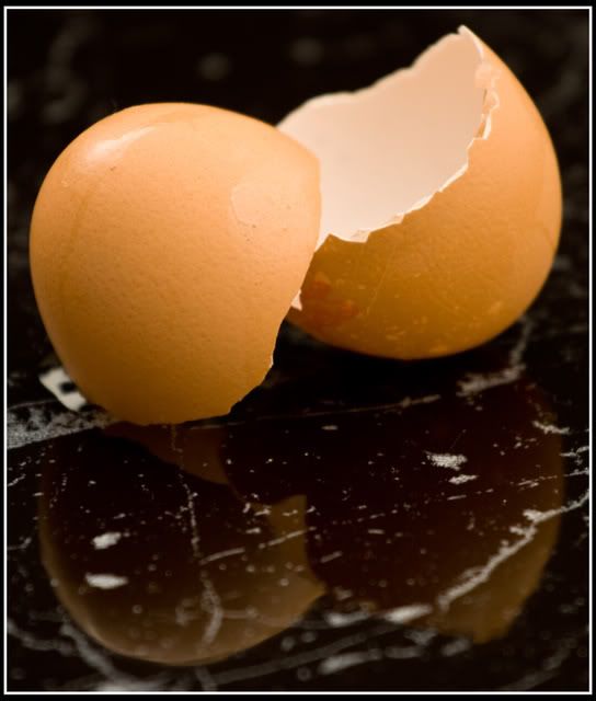 Egg Shells Pictures, Images and Photos