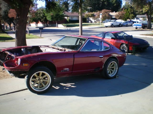 Picture4422.jpg?t=1259639808