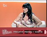 monica stan