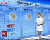 magda palimaru