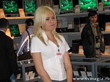 fete cerf 2008
